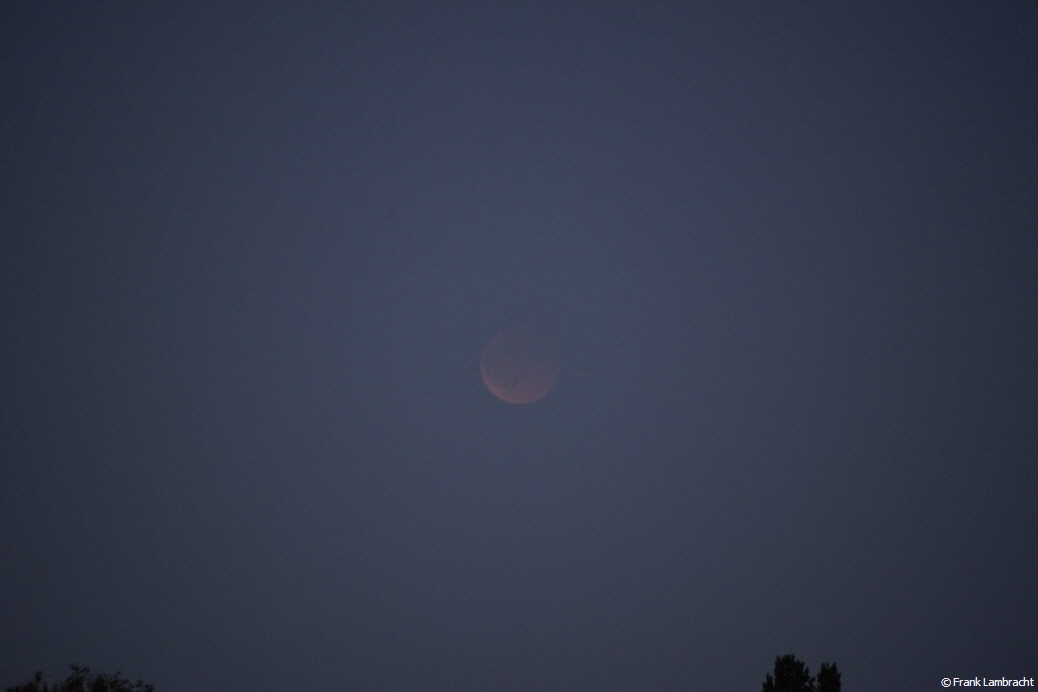 Der Blutmond